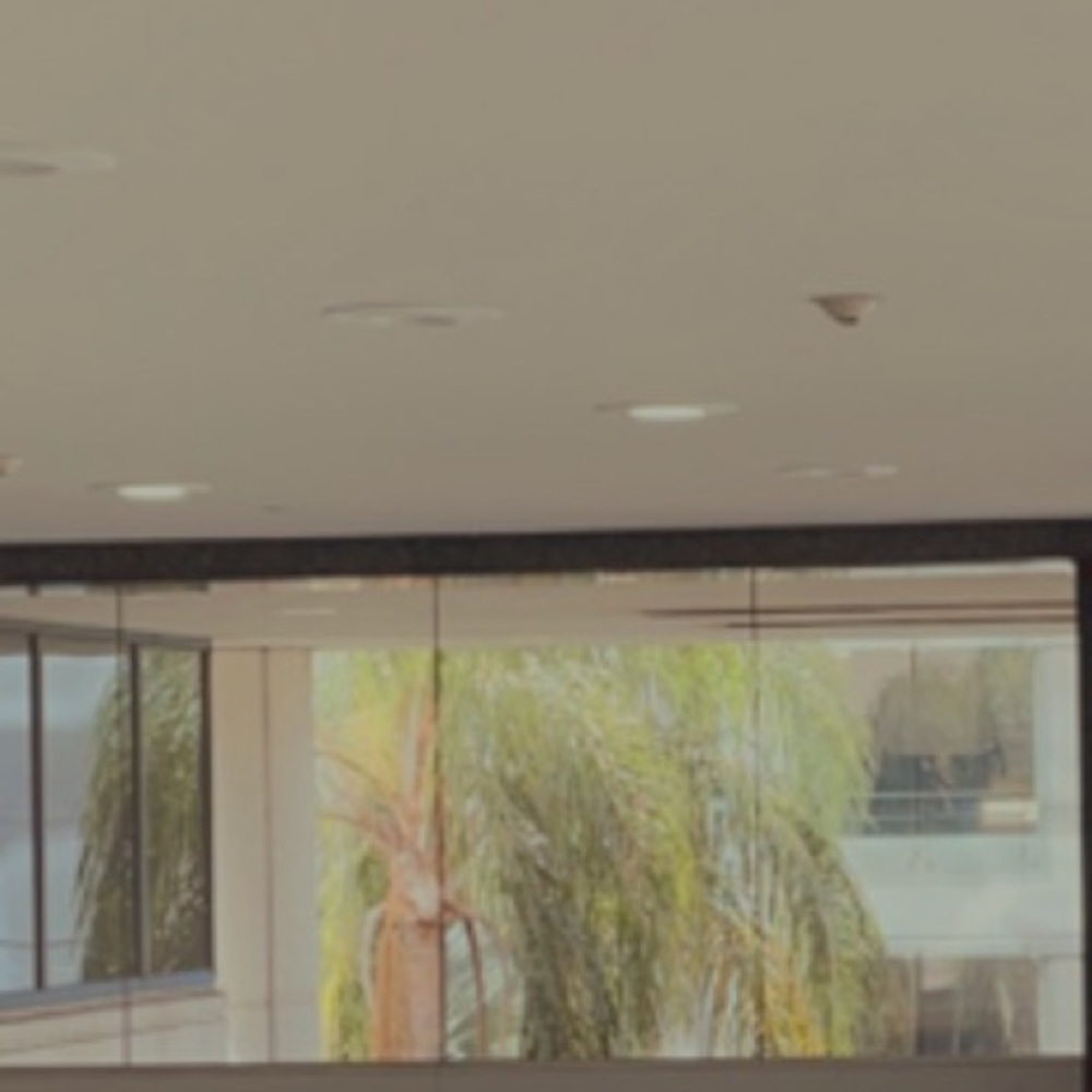 Meet your Posher, Ellie